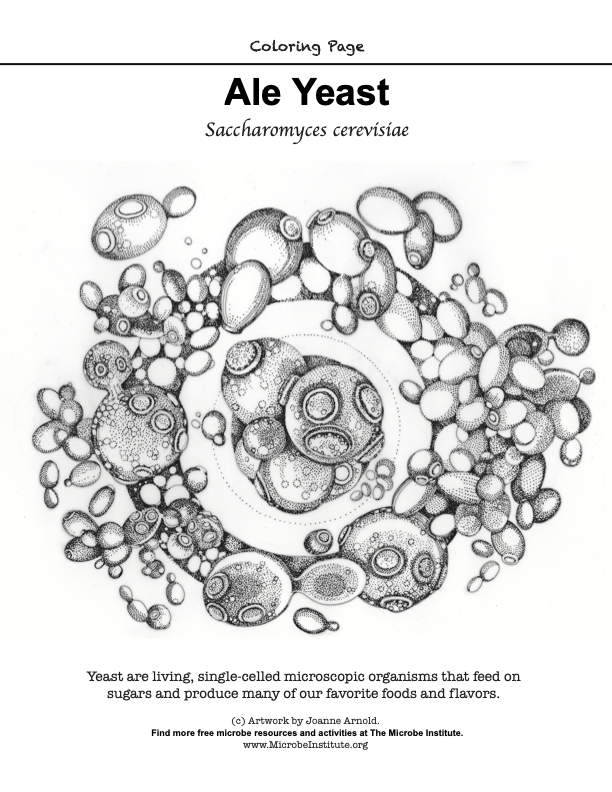 Some exciting developments on the #WaspBeer front this month, so as a lead-up, I'm sharing some art, education, & science related to these wonderful creatures. First up, a coloring sheet (MADE BY MY MOM!) for some calm moments of yeast appreciation. microbeinstitute.org/wild-sourdough…