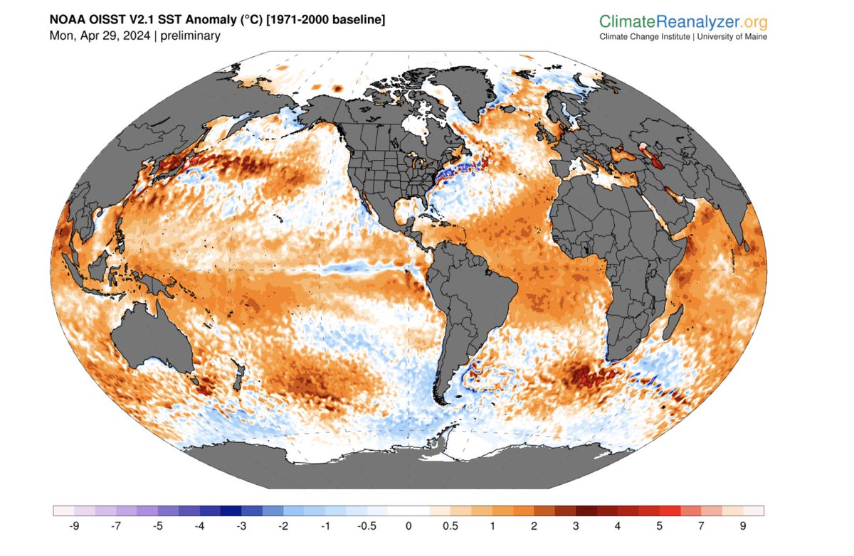 You can see the rippled cold anomalies in the eastern and central equatorial Pacific associated with upwelling Kelvin waves as El Nino steadily transitions toward La Nina (as predicted): climatereanalyzer.org/clim/sst_daily/