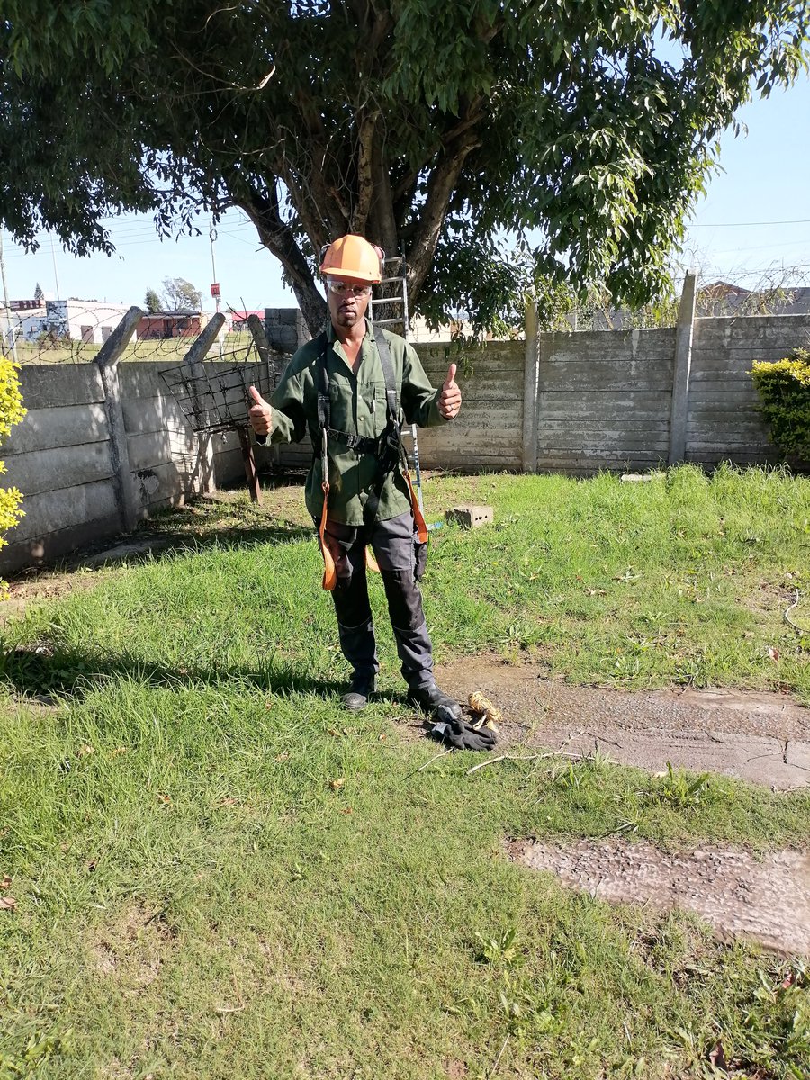 sizwe_Nondlazi's tweet photo. Ntozakuthi ndiyayisusa imithi exakileyo emagcekeni, futhi nengca siyayicheba kube clean kwakho, mdantsane neziphaluka. https://t.co/r22MDIaayr