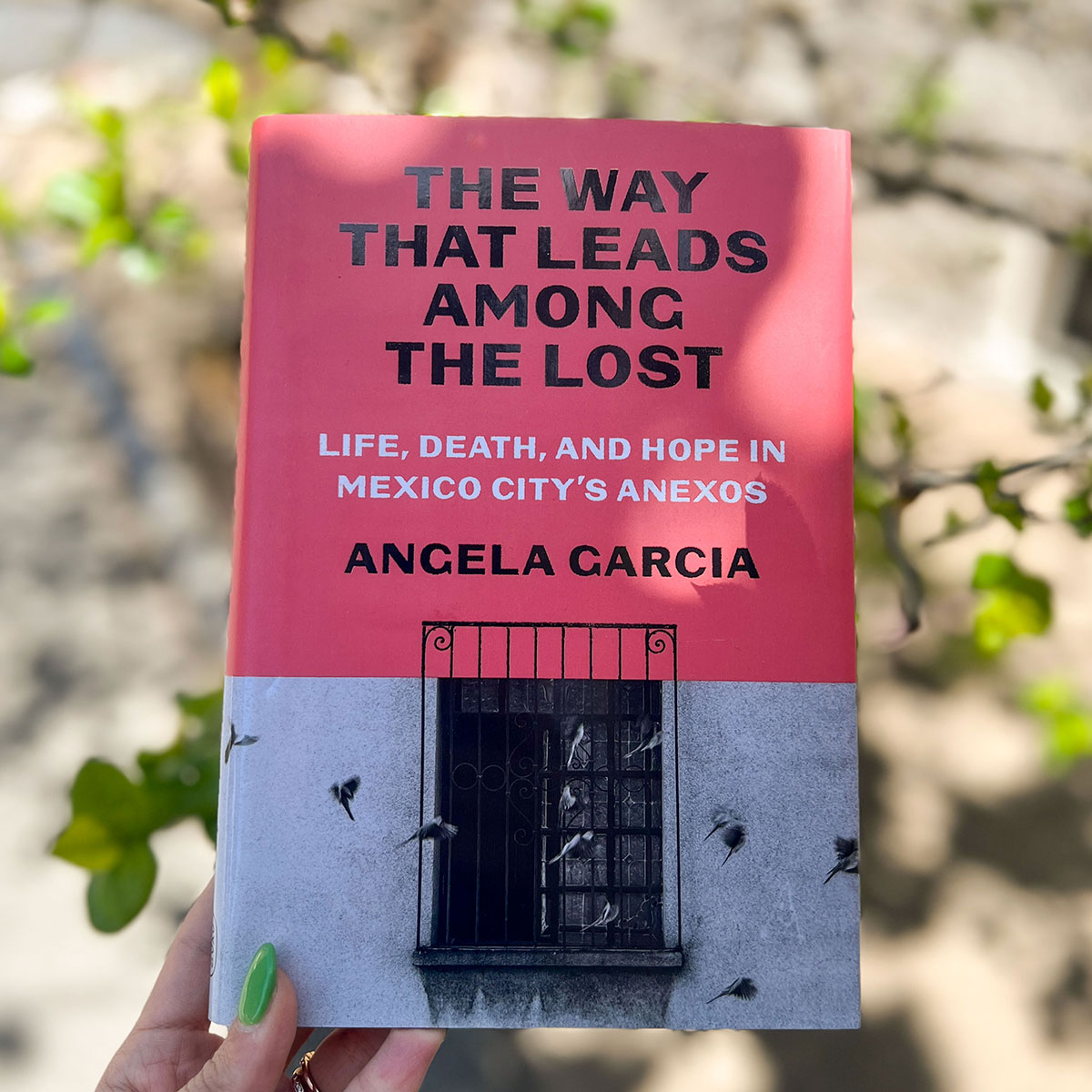 “Garcia is so gifted that she can turn a history of a small dim room in Mexico City into an examination of both her life and a generation.” (@RachelAviv, author of STRANGERS TO OURSELVES) THE WAY THAT LEADS AMONG THE LOST by Angela Garcia is out now! bit.ly/3xZZ74k