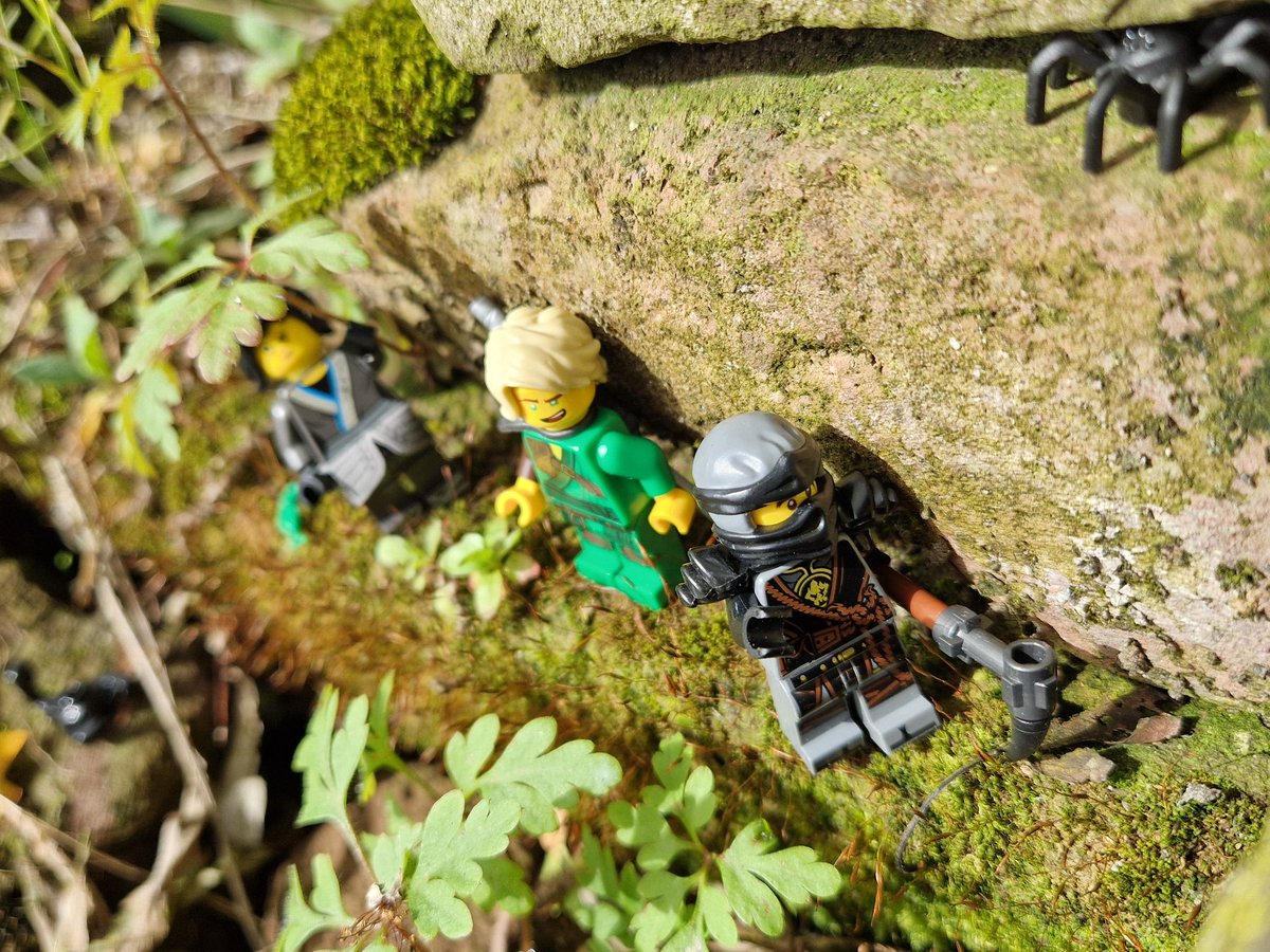 It's a big world for a small ninja 🌱

#ninjago #NinjagoDragonsRising #Lego #toyphotography