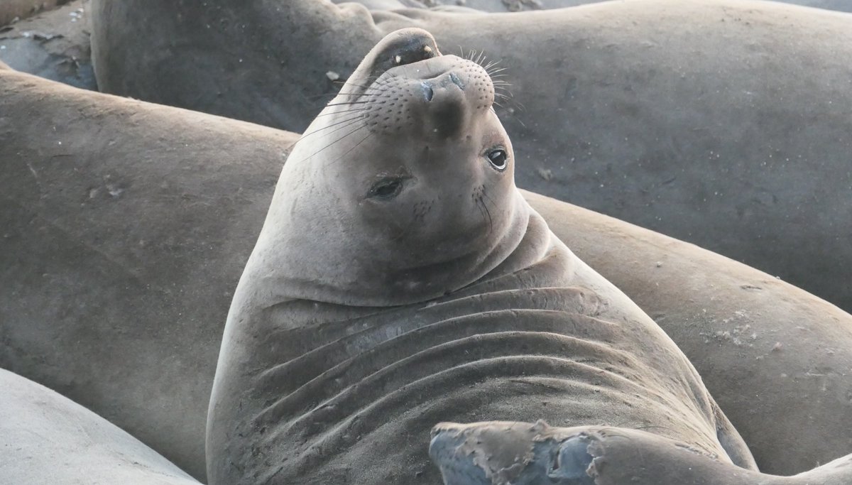 Monica S. tweet media