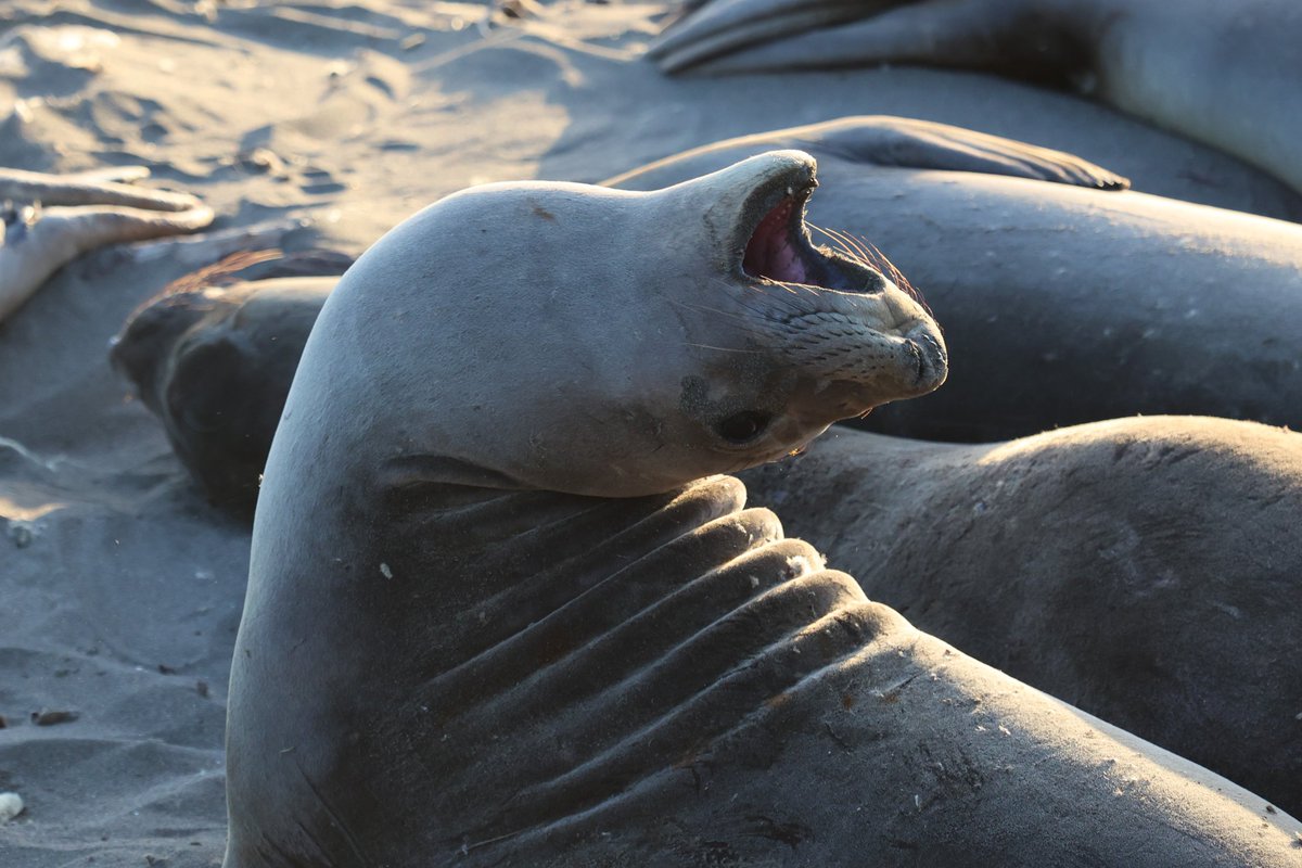 Monica S. tweet media