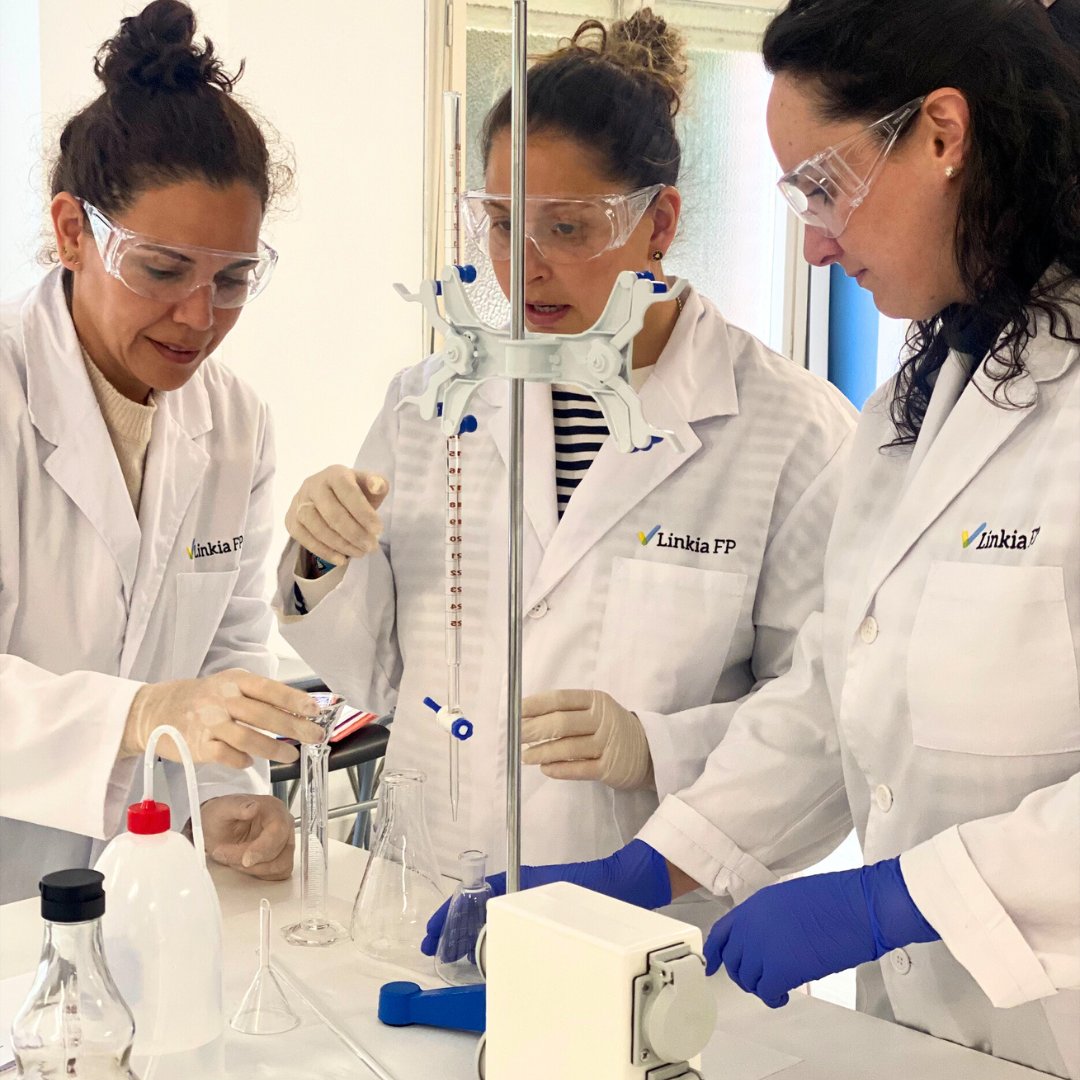 LinkiaFP tweet media