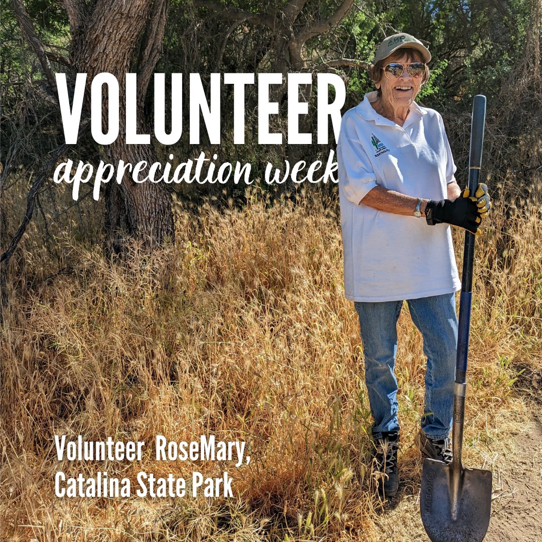 We had the best time celebrating our volunteers and telling their stories last week during National Volunteer Appreciation Week! If you missed them, check out RoseMary's story—a volunteer who has been a part of the Catalina State Park team since 1995! azstateparks.com/press/celebrat…