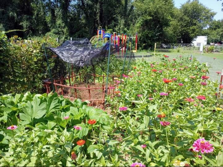 Topics: #community #garden #food #tennessee #fooddeserts #foodjustice  #sustainability #technology #education #nutrition #health

@RutherfordCoExt @Mborogarden @tncom