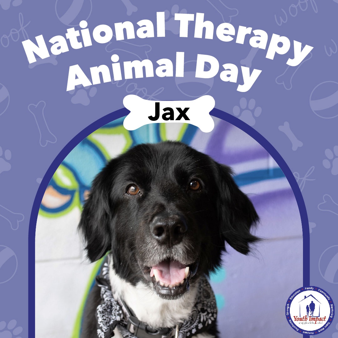 Happy #NationalTherapyAnimalDay! Today, we'd like to shine a light on Jax. 🐕‍🦺 🐾  Jax actively engages with our participants, lending a paw and spreading love and support when it's needed most. #PawsForHealing #ChampionsOfChange #ASafePlaceToBeAKid

...
YouthImpactOgden.org