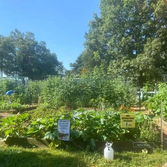 Topics: #community #garden #food #tennessee #fooddeserts #foodjustice  #sustainability #technology #education #nutrition #health

@RutherfordCoExt @Mborogarden @tncommgard