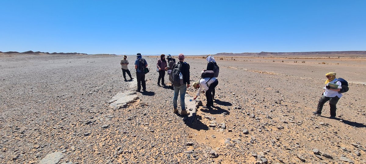 Still in the #Sahara @BBKNatSci #Morocco field trip, but today was back in time to the #Devonian. First up some ancient hydrothermal seafloor vents, a look at an end Devonian anoxic event followed by some rapid field mapping.