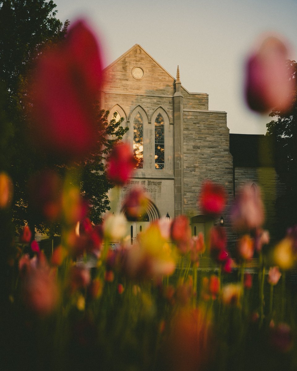 Spring 🌷☀️

#pmchurch #loveonthemove #spring #springday #morning #beauty #beautiful #tulips #church #flowers #architecture #andrewsuniversity #earlymorning