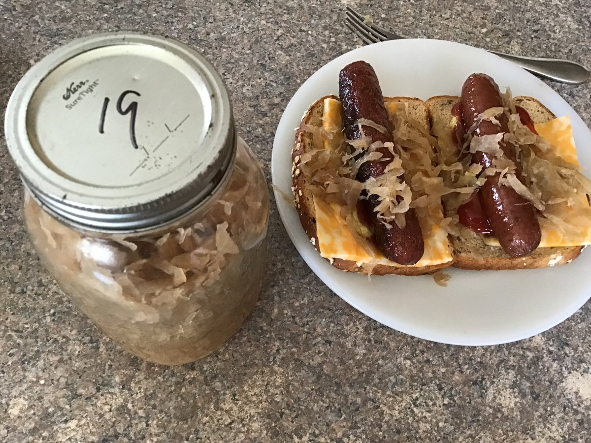 Having some wildrice beef brats for lunch today with 5 year old sauerkraut: gonna be potent so I’m arming myself with a glass of home made honeymead a friend gave us on Sunday. We don’t kill of our sauerkraut in the canner or even water bath when we jar it, so this stuff is ripe: