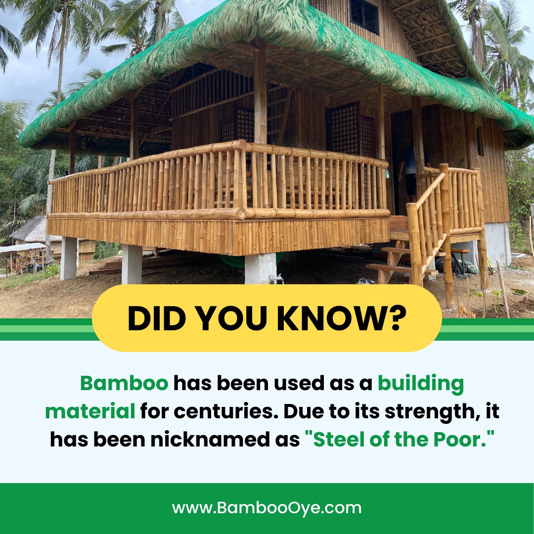 Read articles about bamboo on : 
 bamboooye.com 
#bamboooye #bamboo #bambooforest #bambootoothbrush #bambooclothing #bambooproducts #luckybamboo #bamboobag #bamboofurniture #bambooearrings #bamboohouse #bamboostraw #bamboodesign #shorts