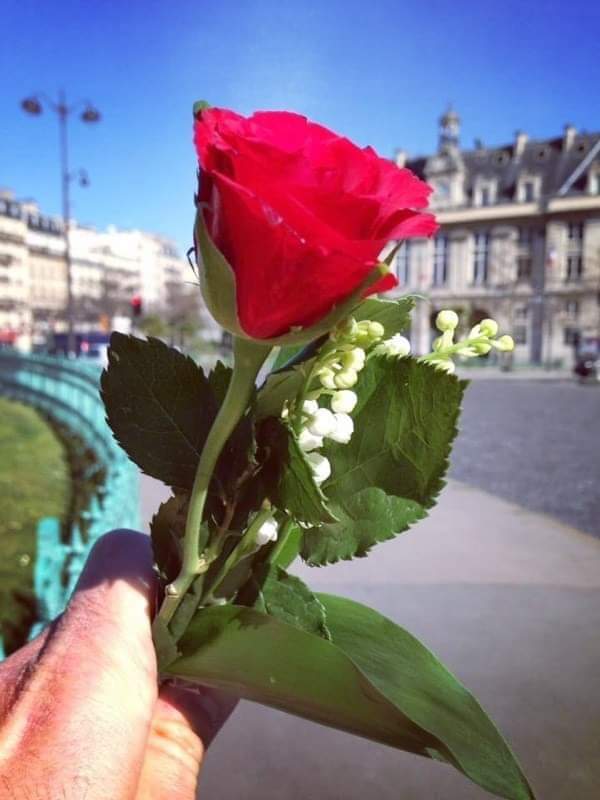 Demain comme tous les ans depuis bientôt 30 ans, je serai dans la rue pour défendre les droits des travailleurs et travailleuses et continuer à lutter contre les injustices ici en France et partout dans le monde ✊🏼✊🏿
#1ermai #1ermai2024 
#mohamedmoulayphoto #Tours