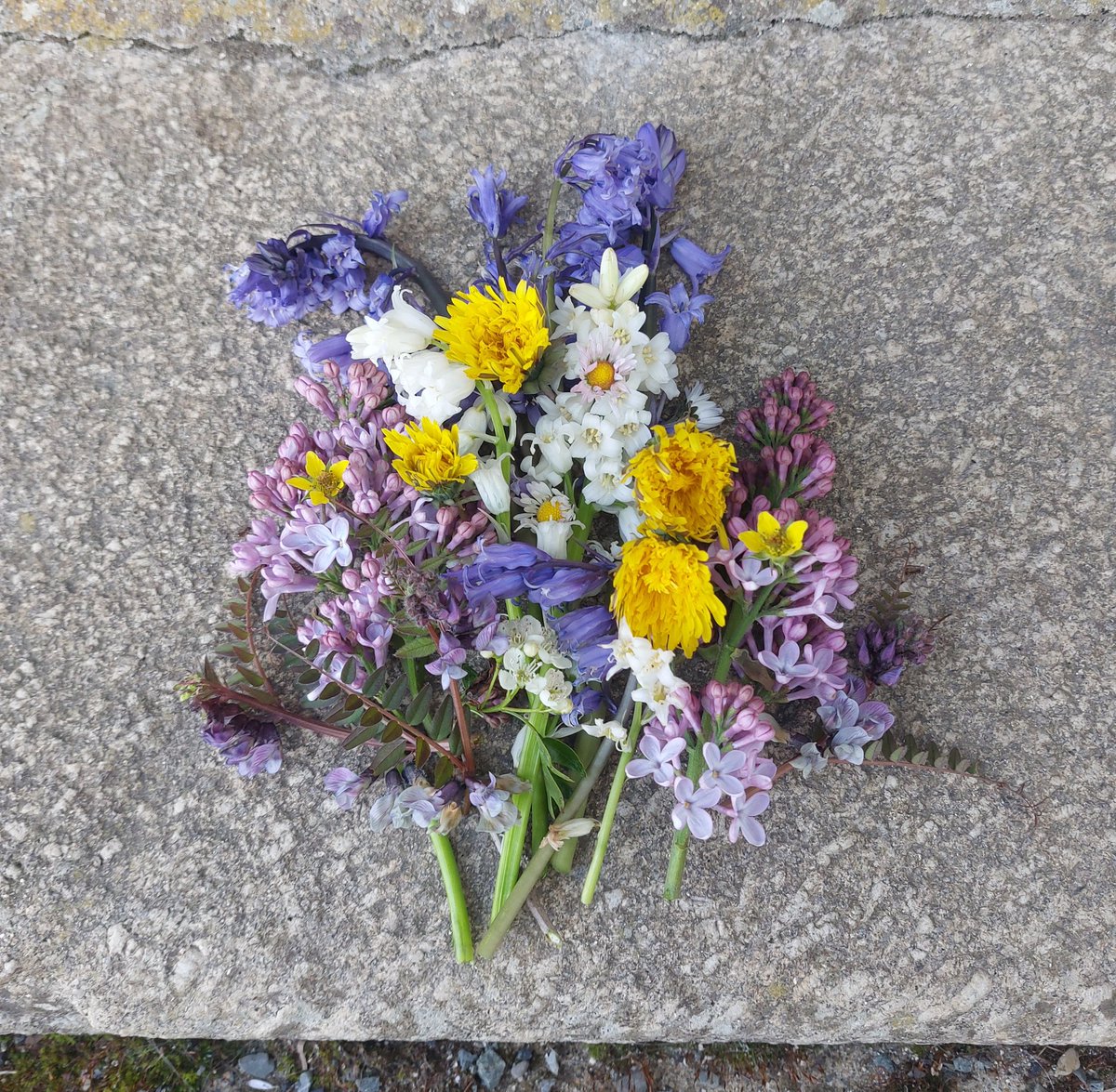 Don't forget to put your May flowers out. This old Irish custom involves gathering flowers on May Eve (or in some places on May day morning) and leaving them in front of the main threshold. It was believed to protect the house from harm or evil.