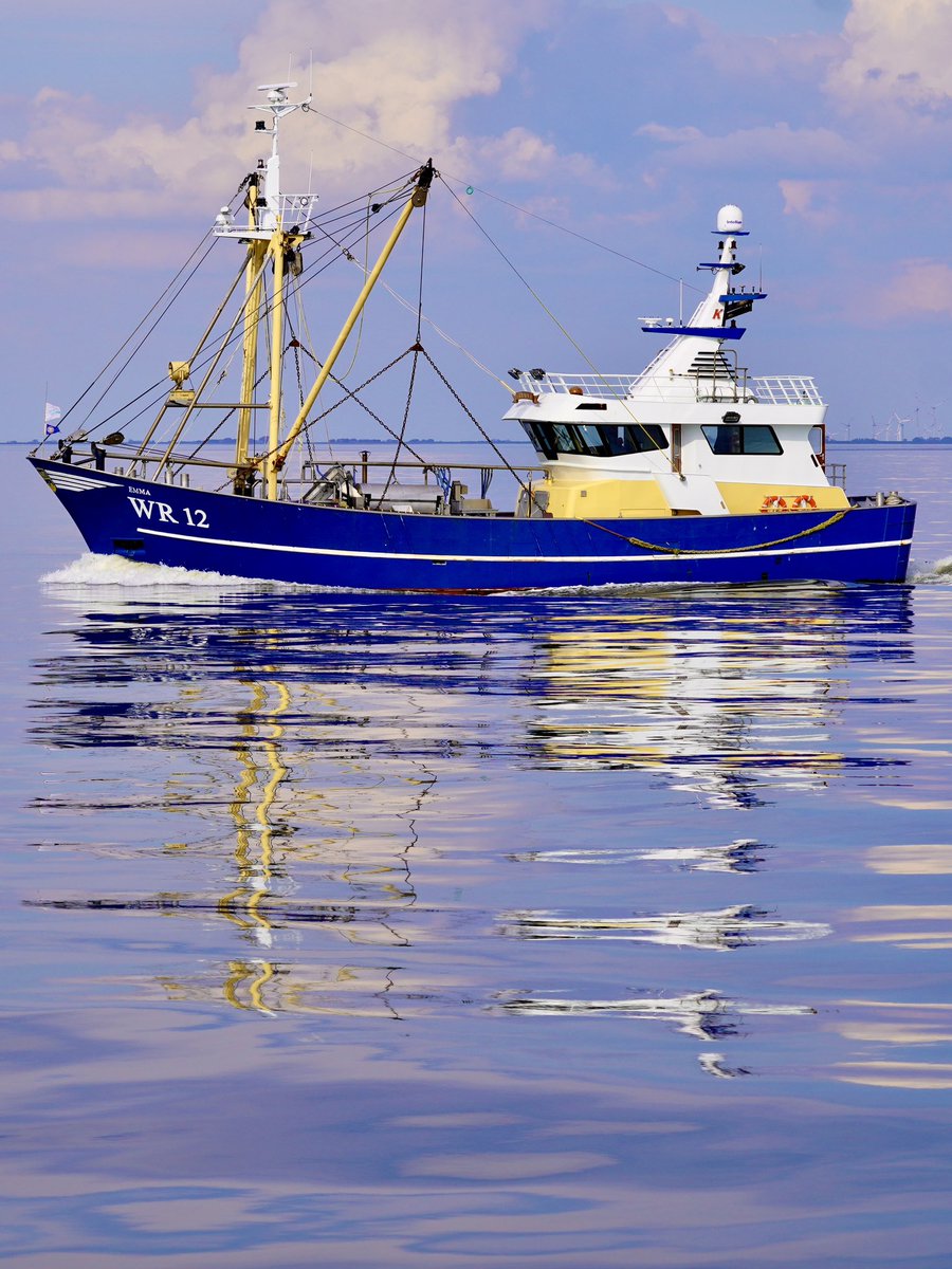 #Noordzee #kust #visserij #beleving 
 Nog eentje