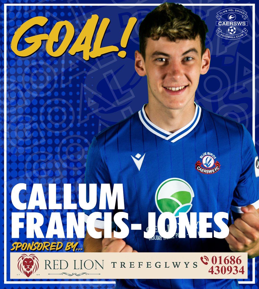 GOOAAAL! CFJ nets on 5 minutes to put the Bluebirds ahead in the derby Versus Llanidloes Town - his eighth of his debut campaign #sws #bluebirds #JDCymruNorth (1-0)