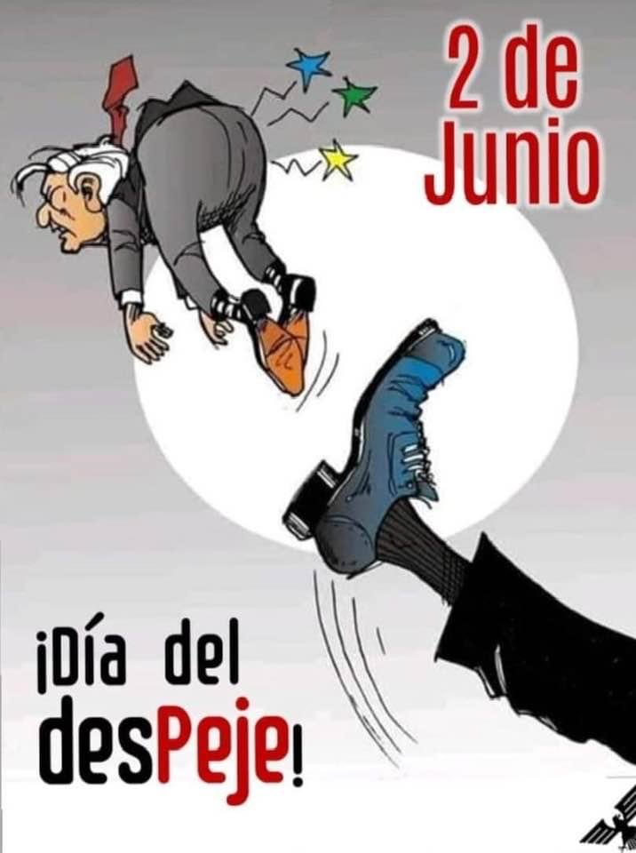 Éste 2 de junio vota para botarlos. 

#VaPorMéxico