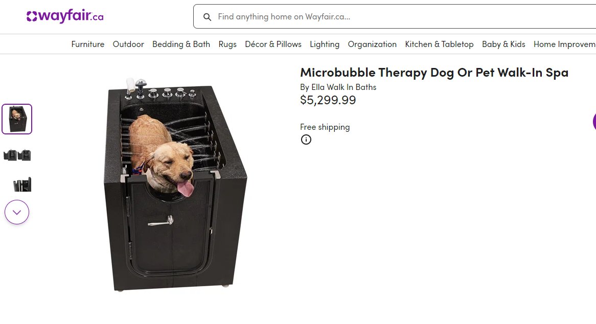 Who buys $5300 dog spas?? wayfair.ca/Ella-Walk-In-B…