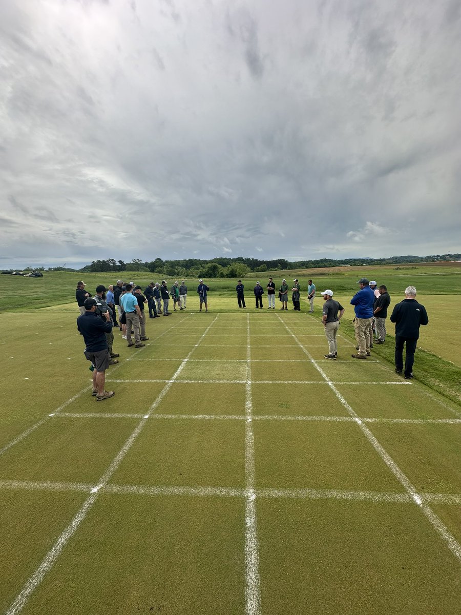 UT Turfgrass tweet media