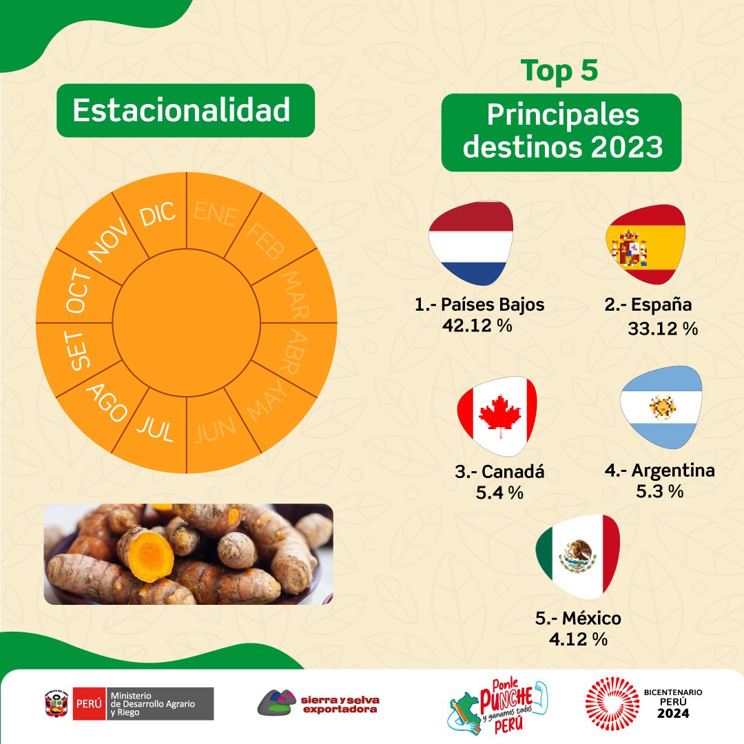 Agromercado_'s tweet image. En el 2023, nuestras exportaciones de #cúrcuma alcanzaron las 3,221 toneladas, generando ingresos que superaron los 5.6 millones de dólares. Descubre en nuestra infografía las regiones donde se produce, su estacionalidad y sus principales mercados de destino a nivel internacional