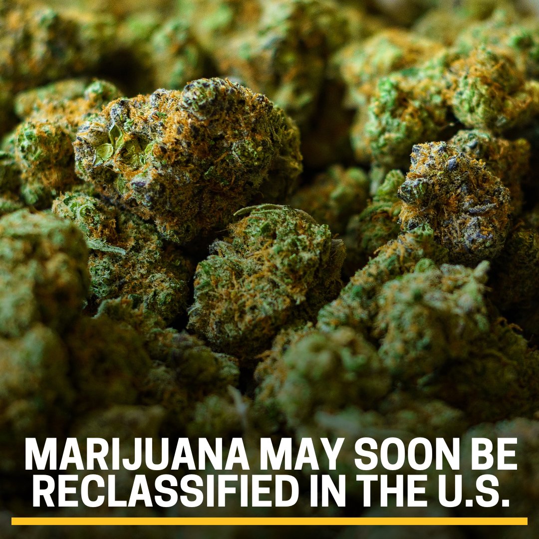 BREAKING: The move is a historic shift in generations of drug policy and could have wide effects across the country. Details: bityl.co/PdC6?utm_sourc…