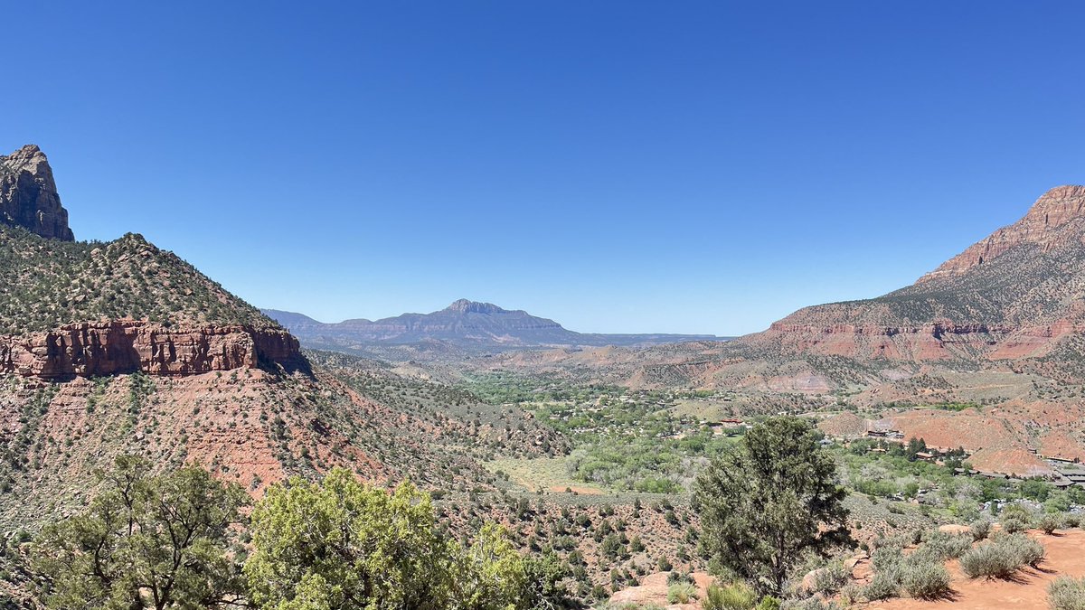 Phil Riley tweet media