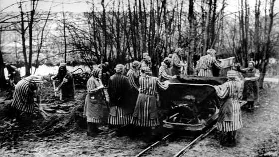 #DDay80 | J-37 | Le 30 avril 1945, le camp de Ravensbrück est libéré. Plus de 2000 femmes, hommes et enfants malades et affaiblis s'y trouvent encore. Le reste du camp a été évacué quelques jours plus tôt par les Allemands. Entre 1939 et 1945, plus de 130 000 prisonnières