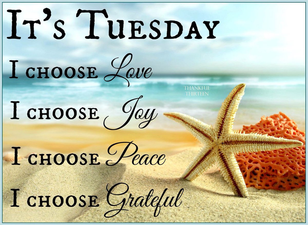 @Dianne__LadyD @Moxyris #TuesdayBlessings #TwitterFriends 
Gorgeous Tuesday Dianne 🌹