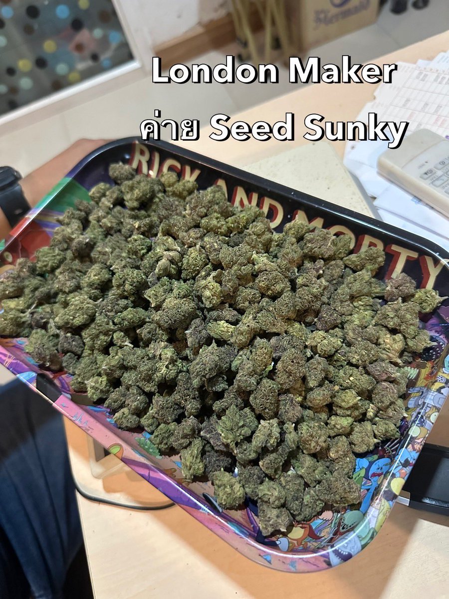มันถึงเวลาแล้วเริ่มเลย ออเดอร์มา
ฝากติดตามผลงานกันด้วยครับ พ่อค้าทั้งหลายสนใจทักมานะ
#กัญชา #กัญชาog #กัญชากรุงเทพ #กัญชานอก #ดอกกัญชา #กัญชาลาดกระบัง #กัญชารามคําแหง #กัญชาพัทยา #กัญชาราคาส่ง #กัญชามีนบุรี #กัญชาสมุทรปราการ #og #บ้องแก้ว #กัญชาชลบุรี #กัญชาดอนเมือง #กัญชานนทบุรี