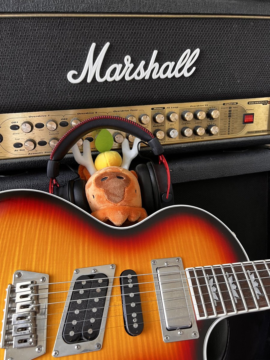 Sure, the capy-bard gets credit for being a full-time musician. But let’s give a shout out to the other capys that are practicing hard! #capybara #indie @marshallamps