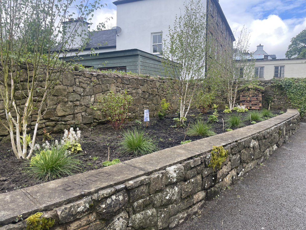 The brilliant Tidy Towns volunteers have gone and opened a hotel right on our doorstep!! It’s just beautiful, what they have done with the overgrown shrub bed opposite the cathedral is the most amazing transformation. The new hotel crowns it! @TidyTownsIre
