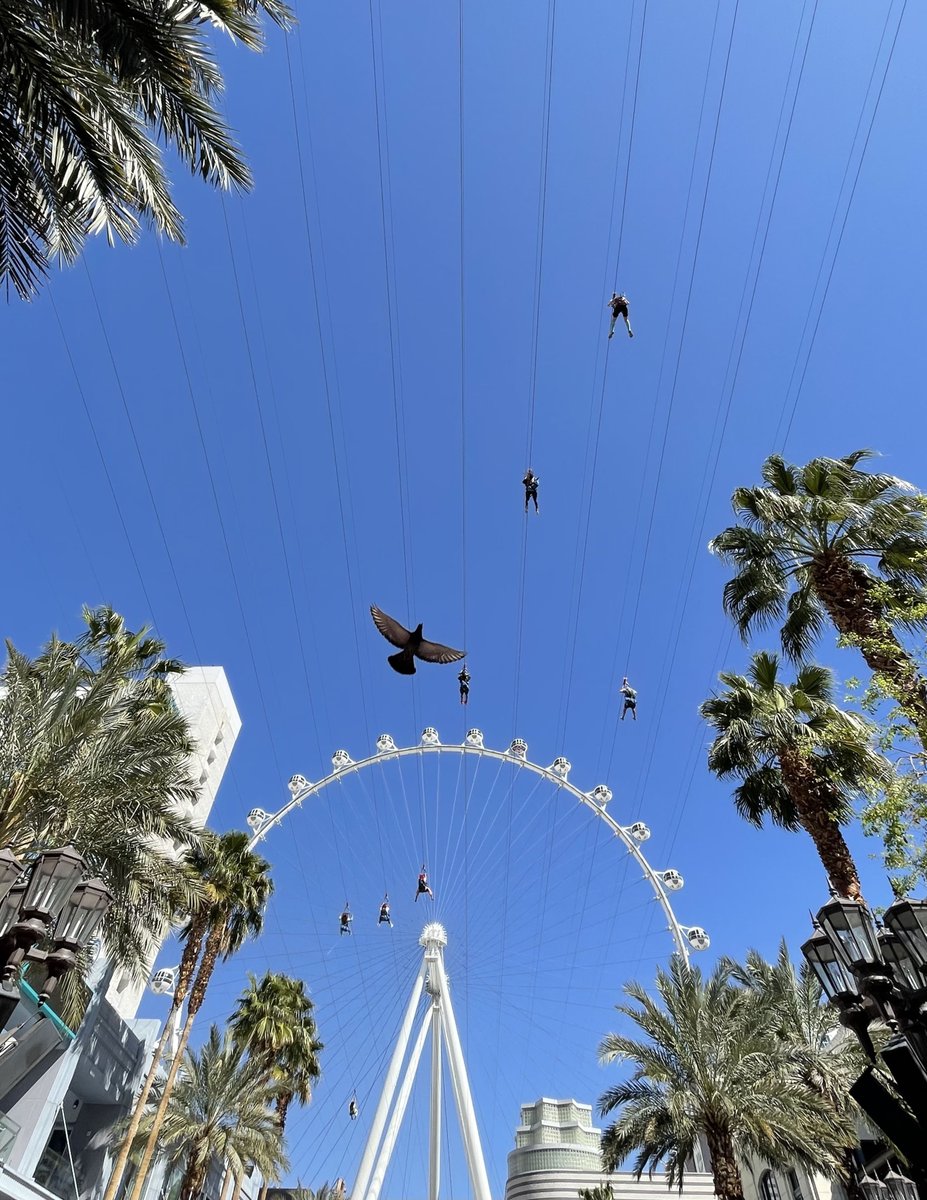 Time to fly, see you in the sky 🚀 #FlyLINQ 👉 bit.ly/4aOAbLq