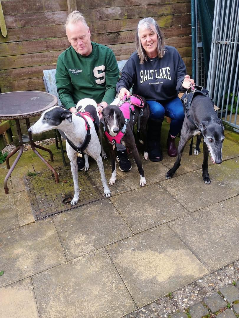 Here’s Gizmo ( now called Gizzy) with her new family. Looks like she’s settled well!!🐾🐾
