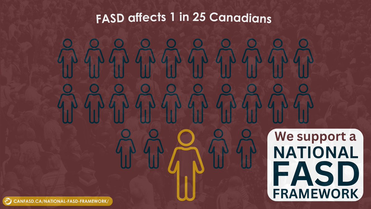 CanFASD submitted a brief in support of Bill S-253 to the Senate Committee on Social Affairs, Science and Technology. If passed, it will help Canadians with FASD and their families access the services they need. @GovCanHealth @YaaraSaks @markhollandlib #SOCI #cdnpoli