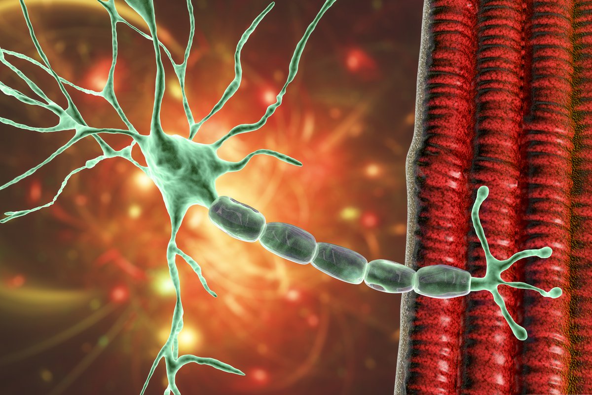 Spinocerebellar ataxia 4’s genetic cause has been pinpointed using long-read single-strand whole-genome sequencing. Researchers found SCA4 patients have a section in the gene ZFHX3 that contains a heterozygous GGC-repeat expansion. Read more: ow.ly/sN2u50RsNfk