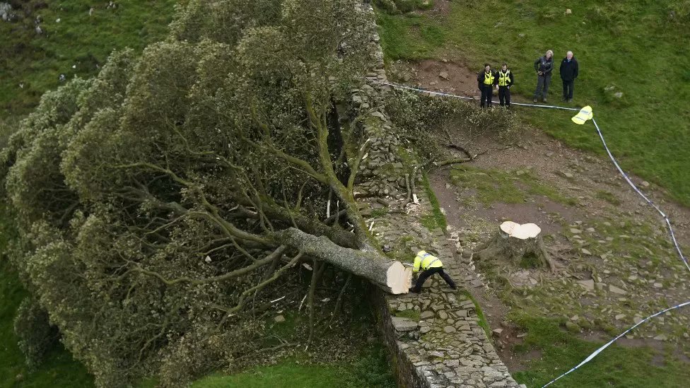 Two men charged over felling of Sycamore Gap tree. bbc.co.uk/news/uk-englan…