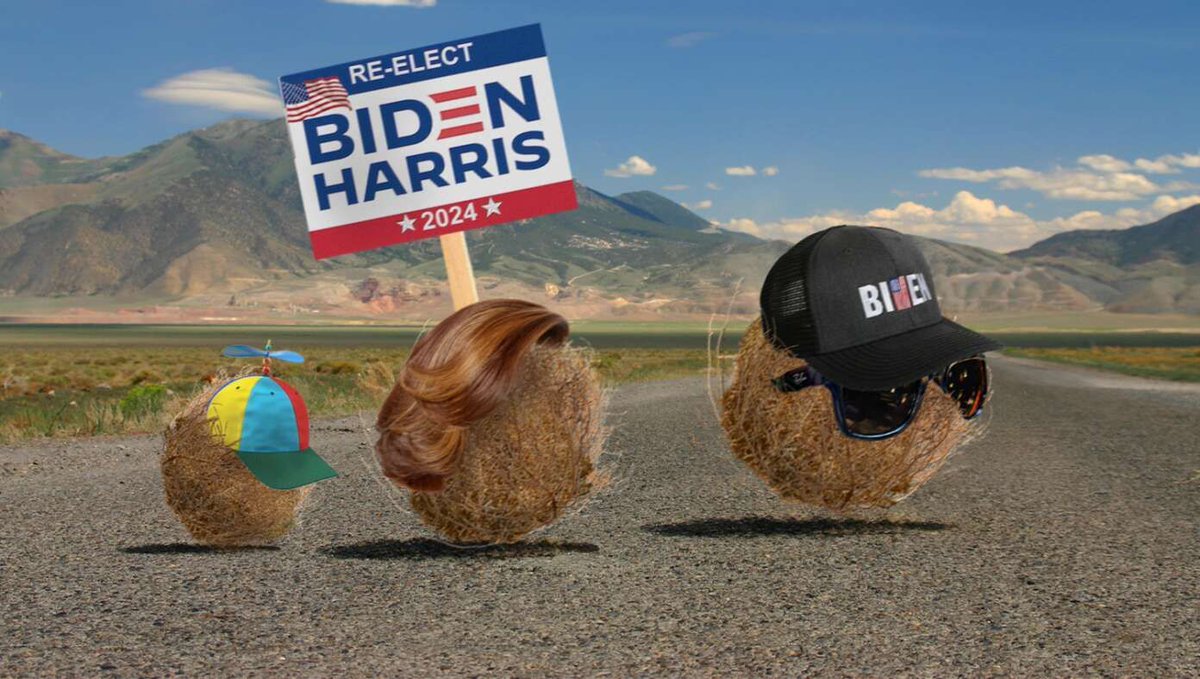 Family Of Tumbleweeds Excitedly Makes Trip To Biden Rally buff.ly/3WkSDqC