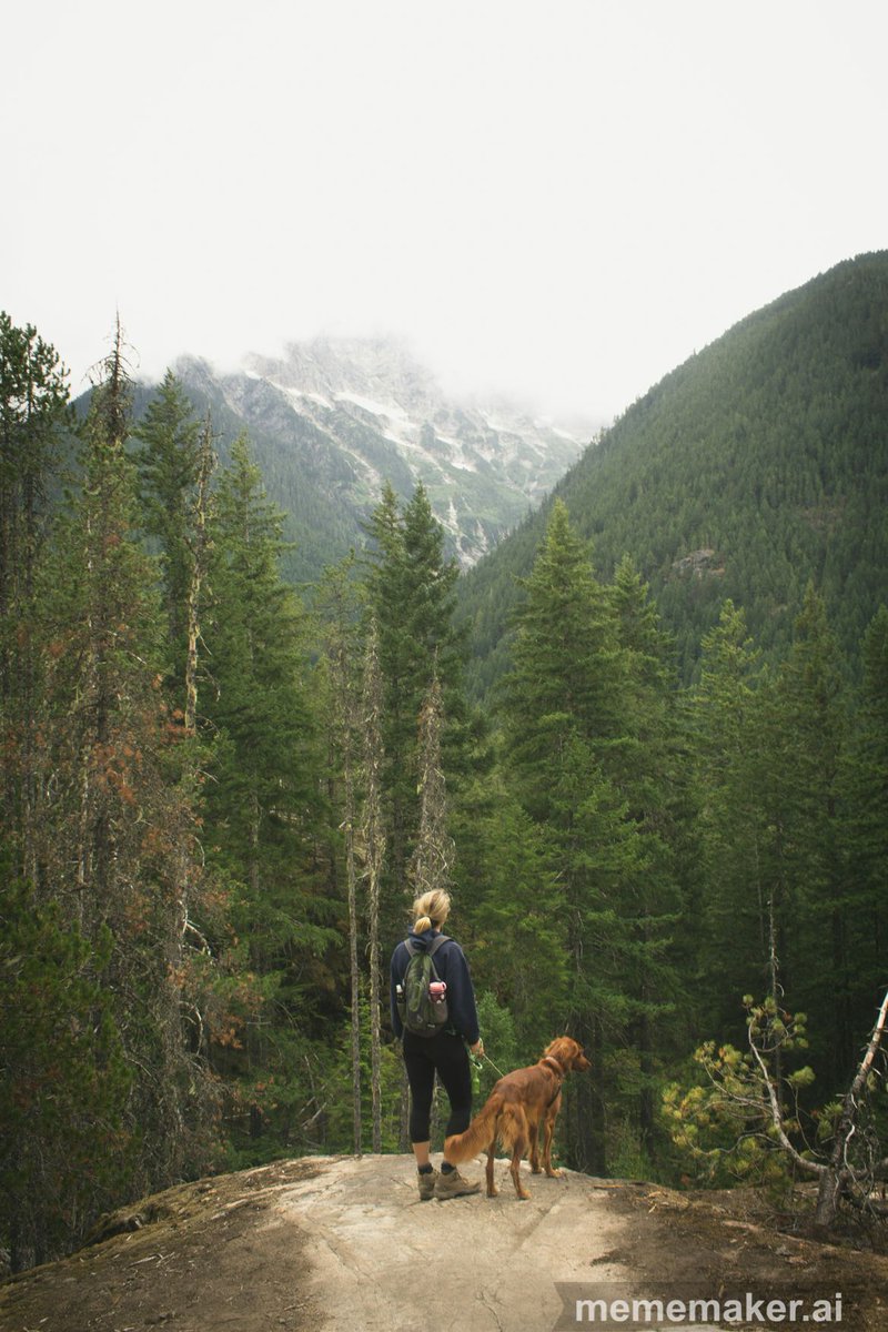 Life with dogs is an adventure! 🐕‍🦺 Share a story of a memorable outdoor adventure with your pup—whether it's a hike in the mountains or a splash at the beach. Let's celebrate the joy of exploring the great outdoors together! 🌲🌊 smartdogschool.info/discoverycall-… #DogAdventures