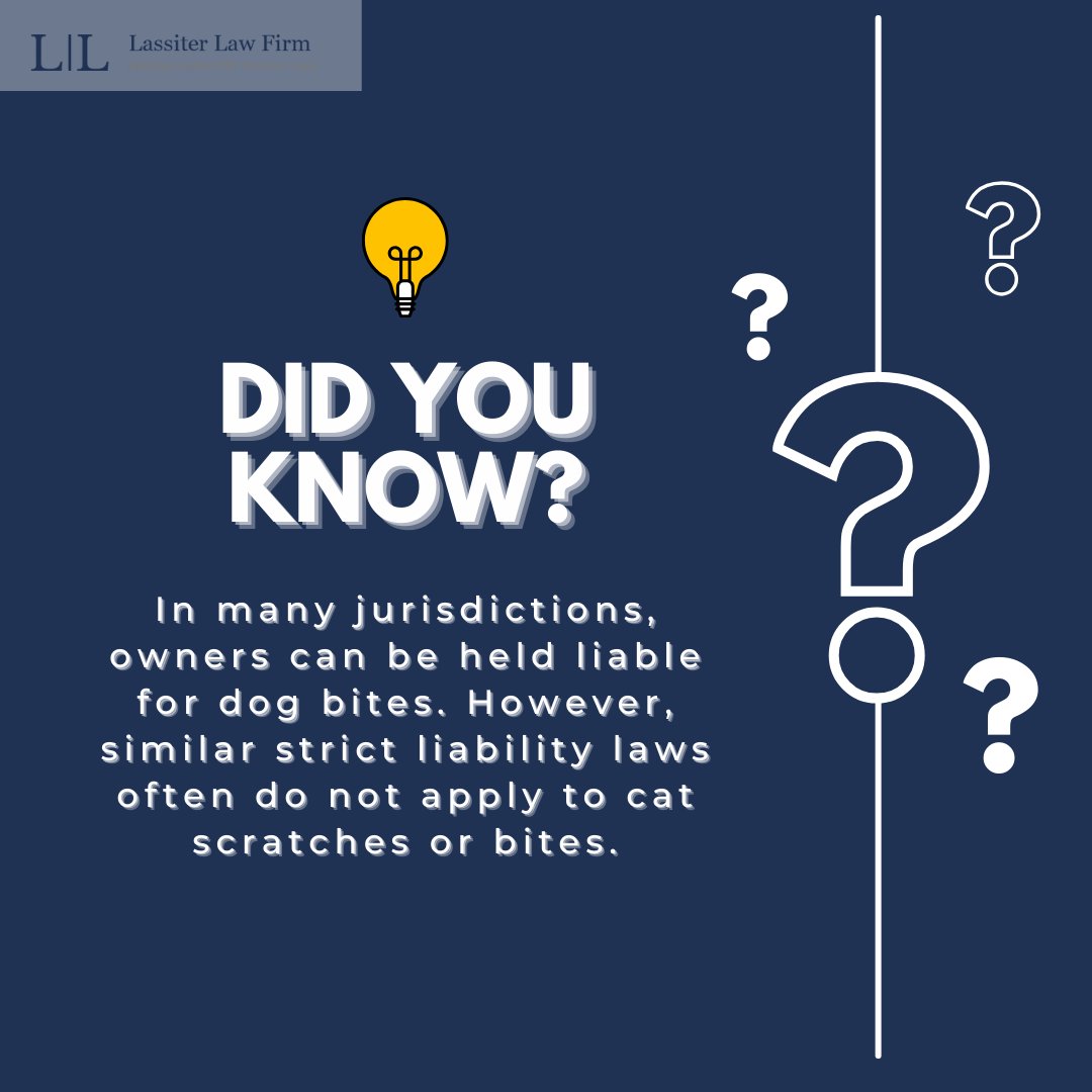 🦮🐈‍⬛Did you know? While owners may be liable for dog bites, the laws purr differently when it comes to cat scratches or bites. 

Follow to learn more about the legal nuances of pet-related injuries.

#LassiterLawFirm #Houston #PersonalInjury #houston