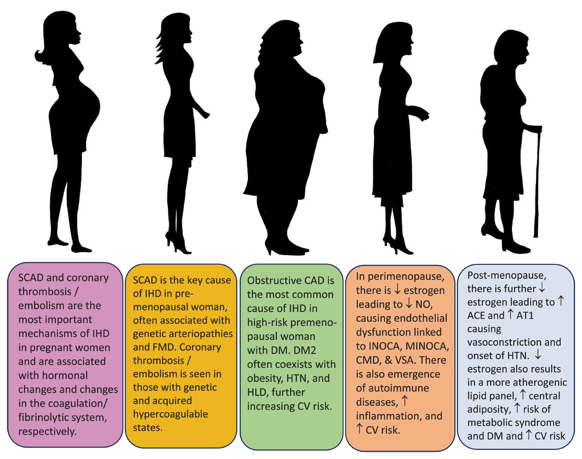 1-15% of women with acute coronary syndrome are diagnosed with MINOCA. Women are 5 times more likely to present with it.

Spectrum of Ischemic HD Throughout a Woman’s Life Cycle by Sai Sita Garapati, Karla Kurrelmeyer & @smitha_narayana

#DeBakeyCVJournal doi.org/10.14797/mdcvj…