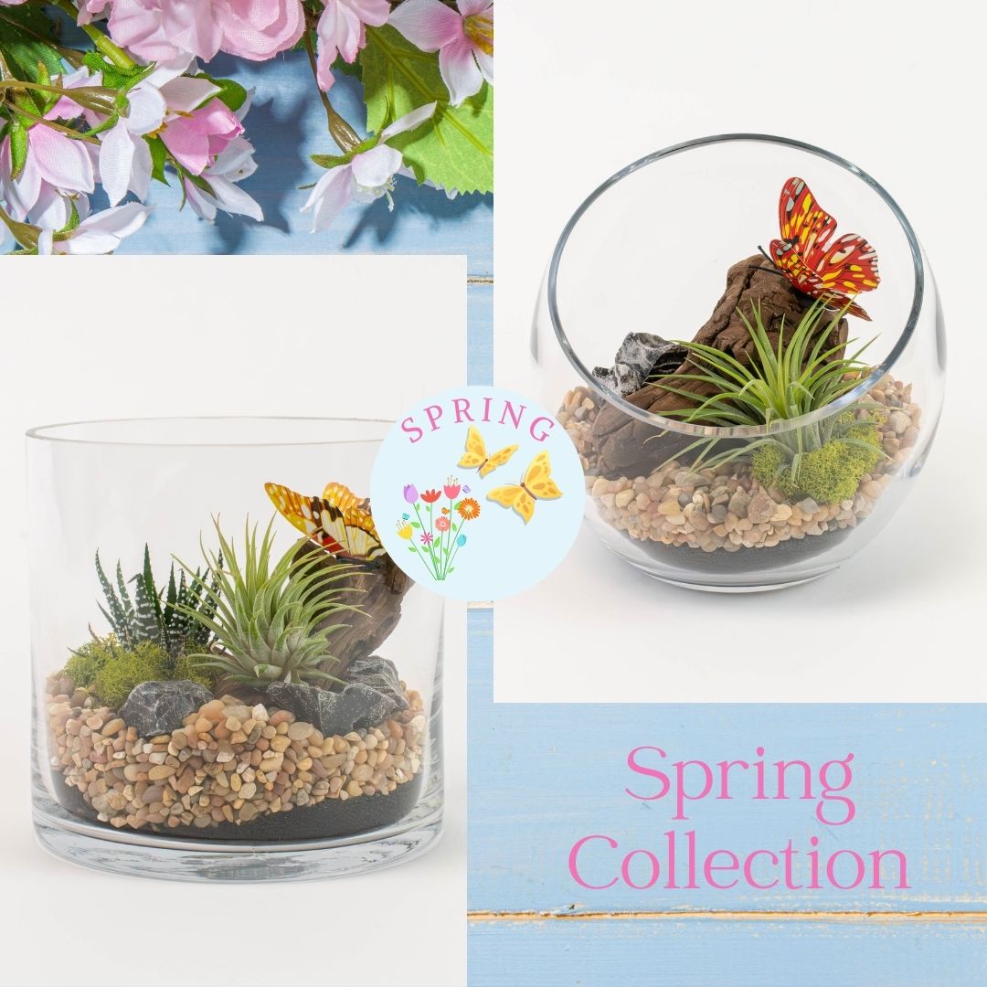 Spring Tillandsia Arrangement in Cylinder Vase and in Tilt Vase

#colasantifarmsltd #wholesaleplants #wholesalepottery #wholesaler #springdecor #springarrangements #springplants #mothersday #spring #springisintheair