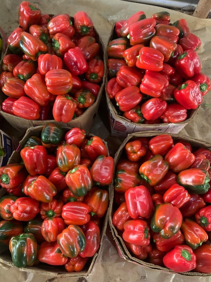 What are some of the challenges faced by Pepper farmers?
#ThikaRoad #PerfectMatchXtra