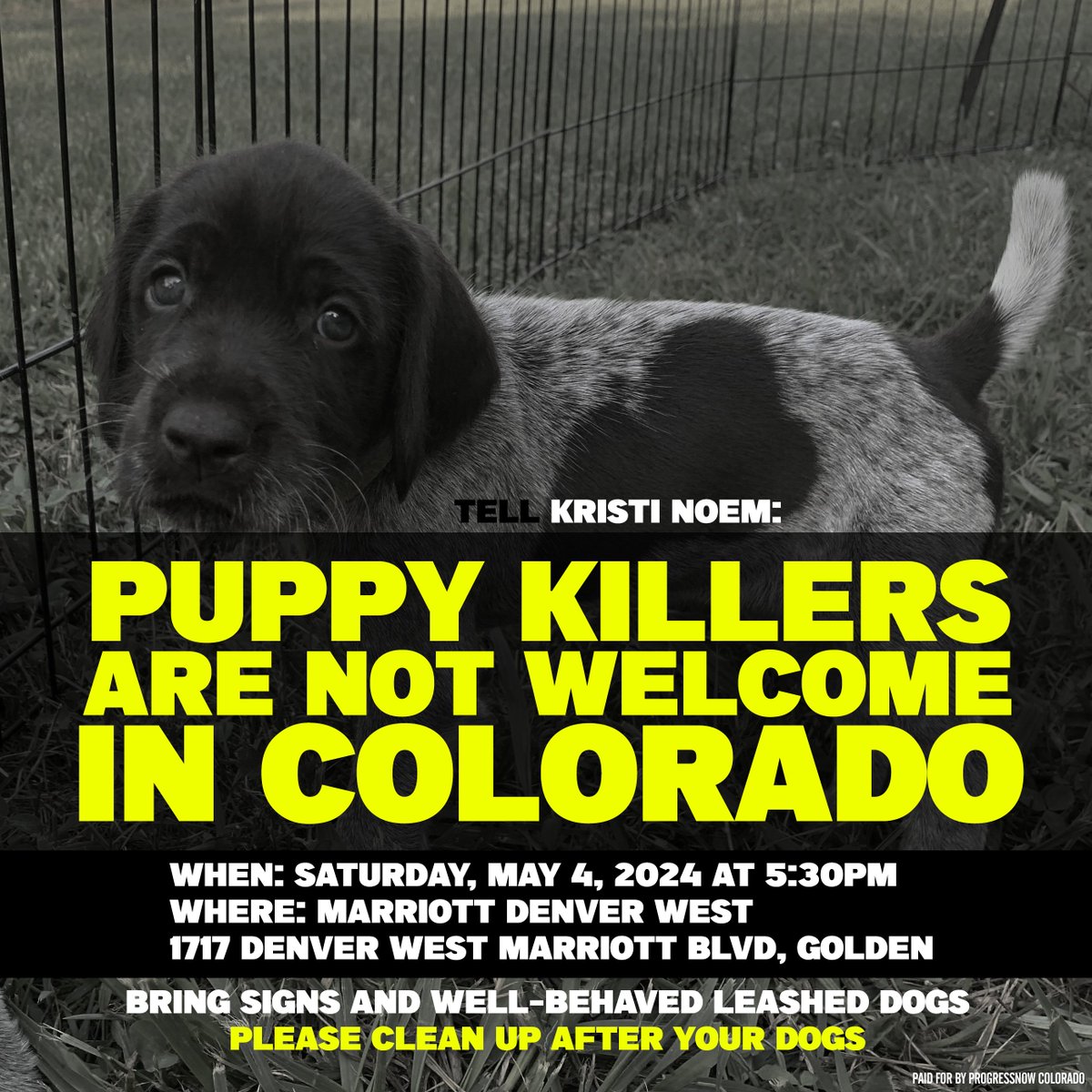 Be there for your dogs, our dogs, everybody's dogs. Puppy killers are NOT welcome in Colorado. facebook.com/events/3211094… #copolitics #coleg #kristinoemkillspuppies