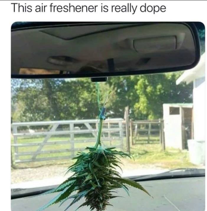 Nah officer.. its just my air freshener! 😅💚 #memes #lol #Mmemberville