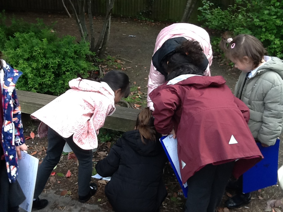 Year 2 went hunting for minibeasts as part of their Science topic about Microhabitats. #YoungScientists @kapowprimary