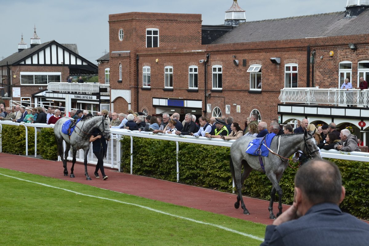 🐎 WIN A PAIR OF BADGES Tipping Competition 🐎

🐎WEDNESDAY 1 MAY🐎 #PigeonSwoop4
@ponteraces 315 350 425 535

📺 @RacingTV 📺

#OpenToAll ✅