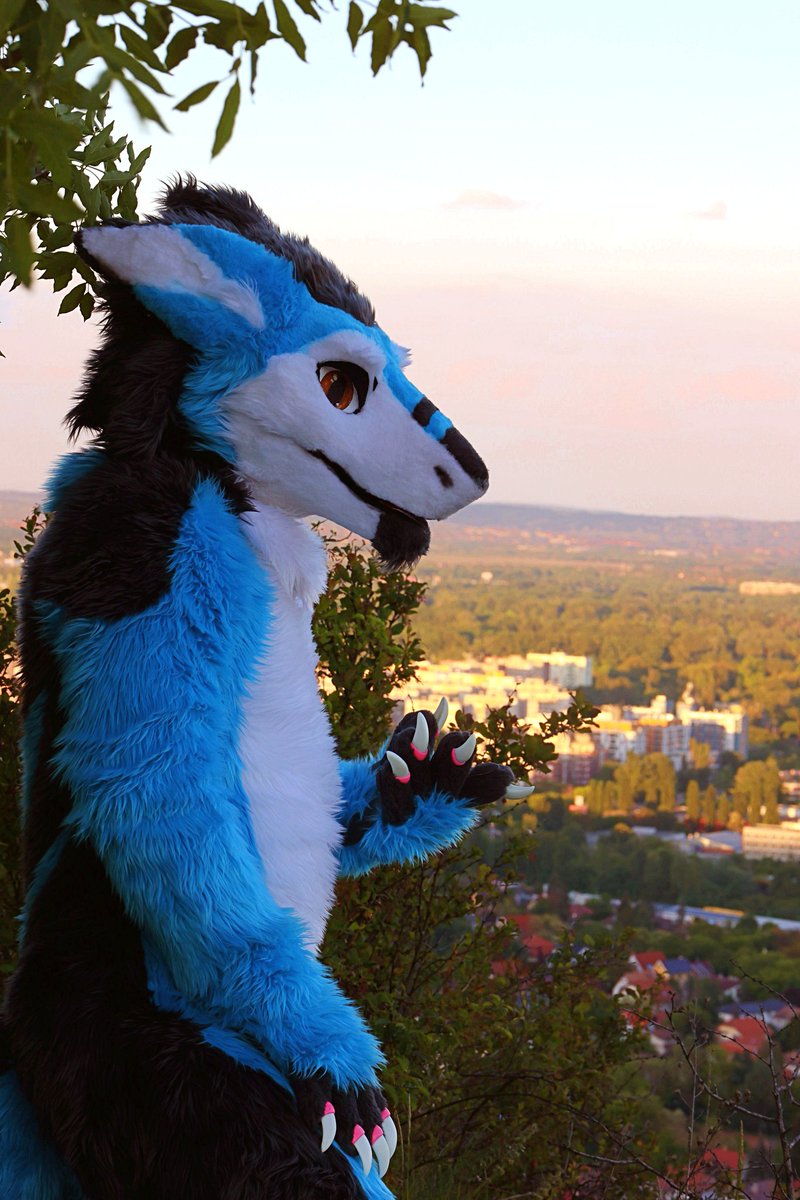 Love to be in high 📷 @Swatthy_ #fursuit #sergal