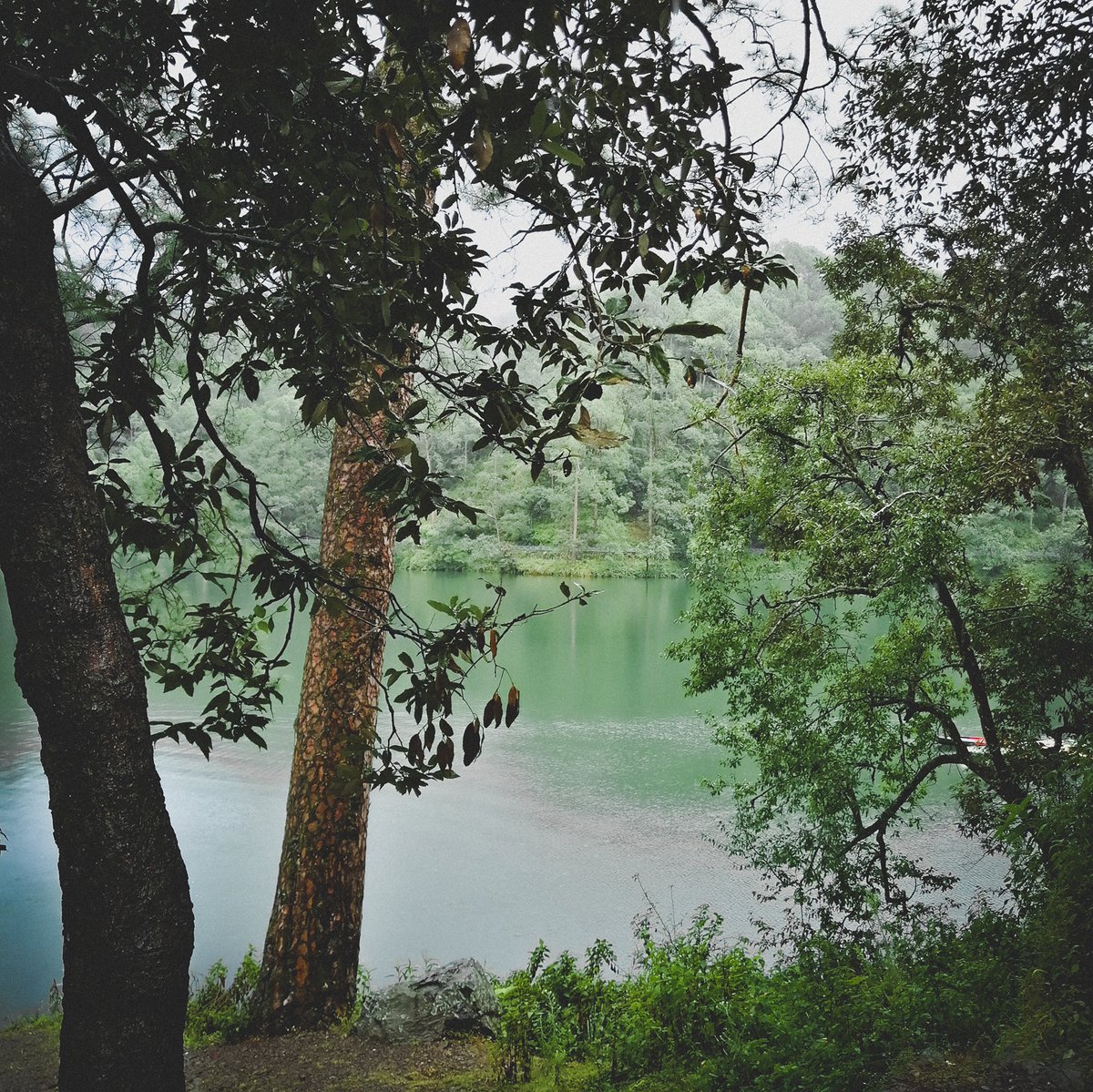 Himalayan Lake