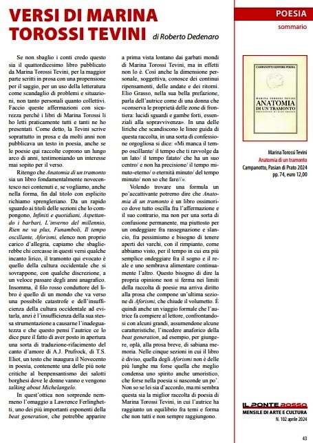 Sull'ultimo numero del mensile di cultura e arte Il Ponte rosso la recensione di Roberto Dedenaro al mio 'Anatomia di un tramonto '(Campanotto, 2024).