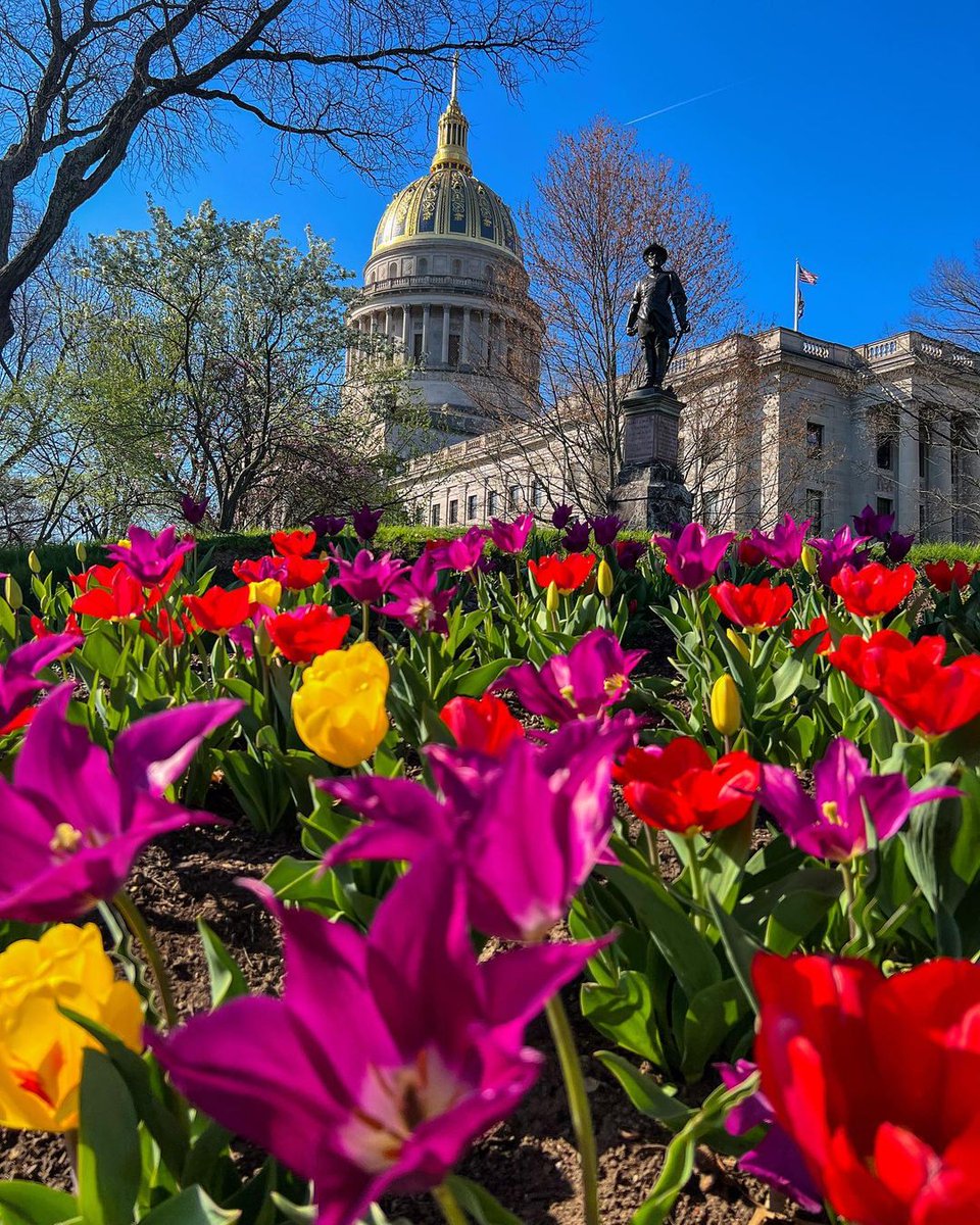 Spring is in full bloom in West Virginia's capital city. 🌷 📍: Charleston, WV 📸: instagram.com/leiahlaloa